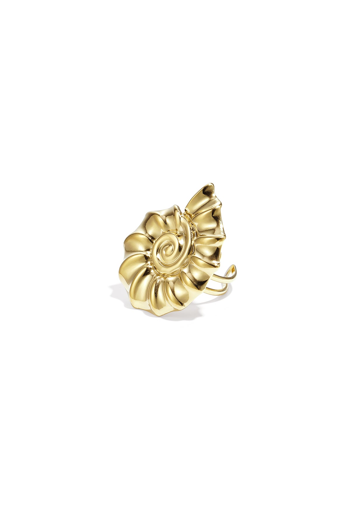 Spiraalschelp ring
