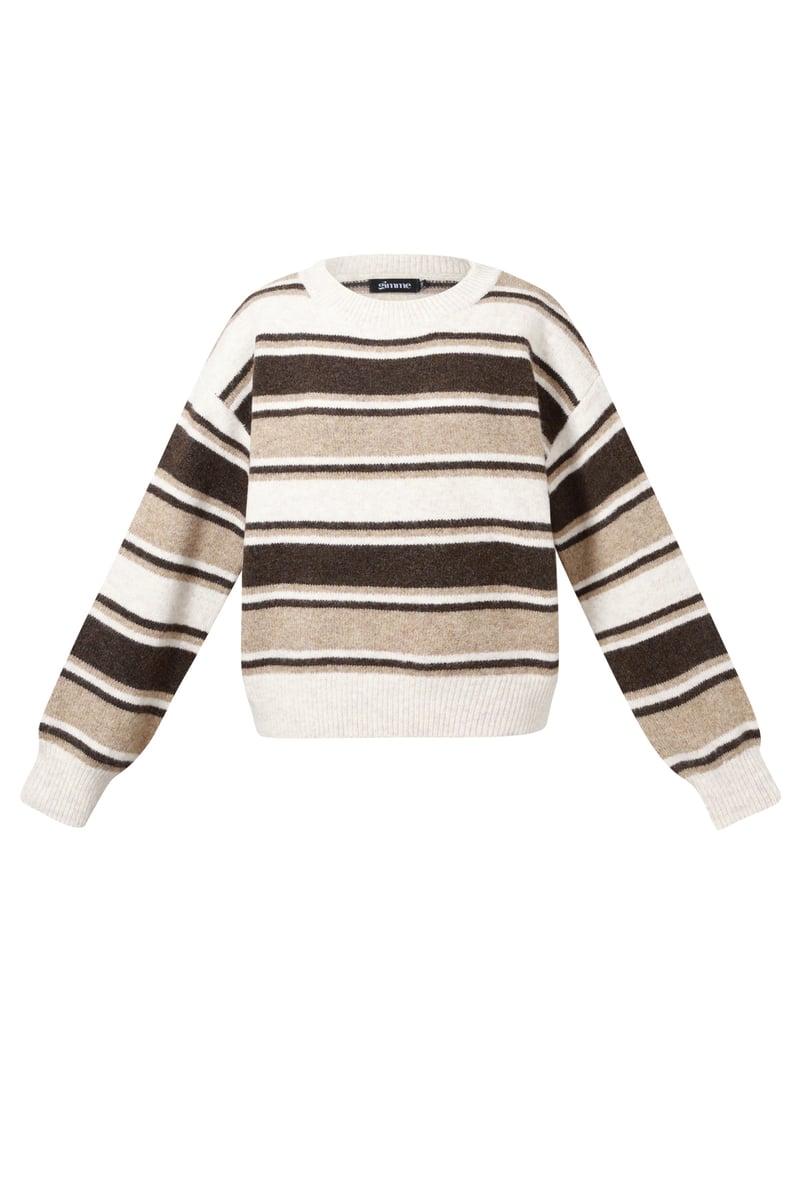 Knit sweaters Stripes 